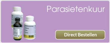 Parasietenkuur