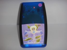 Detox Combinatie darmen  Groot